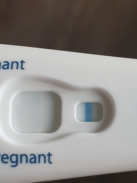 Feb Bus 2021 - no more TRYING to conceive, let's blimin do this!