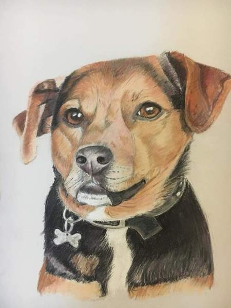 Best dog names you've ever come across