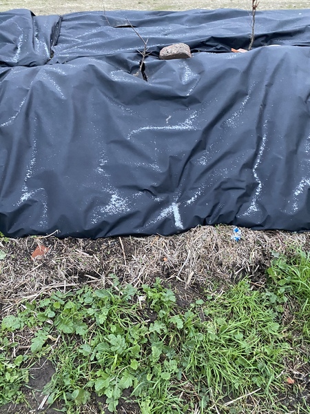 Frugal Friends Forging Forward Toward February and Further Financial Freedom