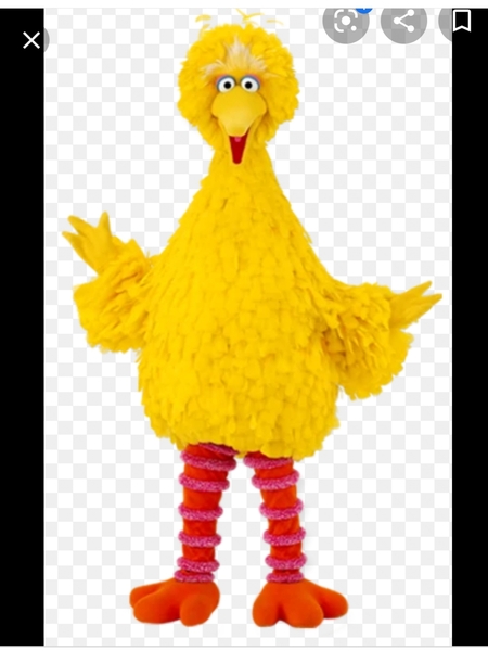 To throw away the chicken every week?