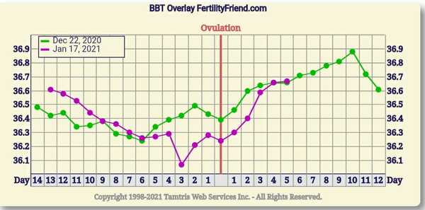 9DPO Symptom Spotting