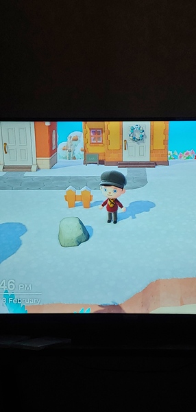 Animal Crossing New Horizons