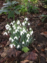 Any Witches here? Part 13