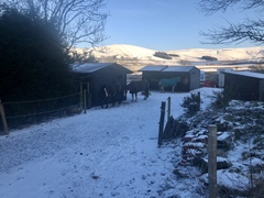 How long do you leave horses in for?