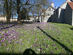 To think there is nowhere lovelier than England on a clear Spring day