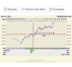 Anyone an expert with BBT charting?