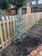 *PICS* Complete novice with a blank slate garden