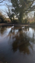 Walking on ice