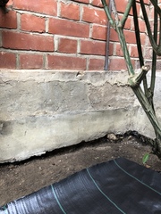 Remove cement render?