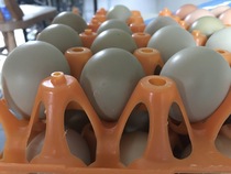 Week 3 - Jan '21 Low Carb Bootcamp - time for Light?