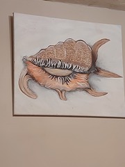 🐧 Penguin Huddle 🐧 Thread 36 - TTC after pregnancy loss