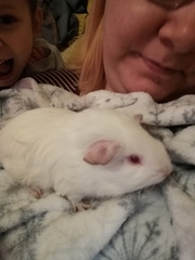 Let’s have a pet picture thread