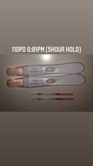 BFP wondfo but BFN FRER?!?! 11DPO - pics attached.