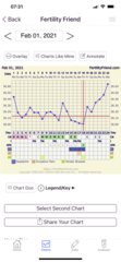 Post Pill Party - The Ceilidh