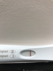 Two Week Wait Buddies