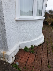 Damp Help