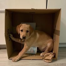 Let’s have a pet picture thread