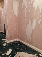 Internal wall damp help