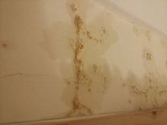 What is this on the wall?