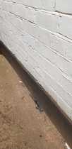 Newly found damp - not sure what it is?
