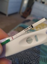 Pregnancy tests