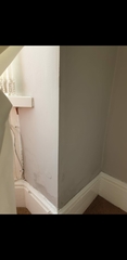 Damp Help
