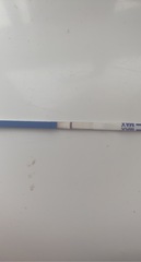 Show me your 13/14dpo lines?