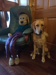 Week 3 - Jan '21 Low Carb Bootcamp - time for Light?