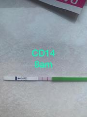 First time using ovulation tests! Please help!