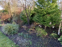 Gardening chat
