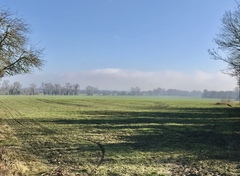 Running Thread 16