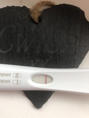 Feb Bus 2021 - no more TRYING to conceive, let's blimin do this!