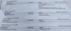What do blood tests mean?