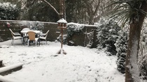 Why don't birds come to my bird table?!