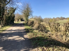 Running Thread 16