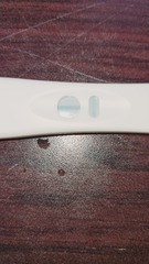 Ovulation due 27th January / Period due 10th February