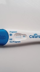 Ovulation due 27th January / Period due 10th February