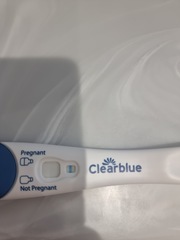 Please help.... is there a line?