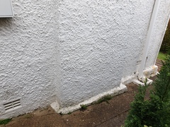 Damp Help