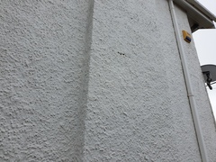 Damp Help