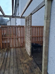 What can I grow on my new pergola?