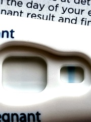Positive test... do you see the line?