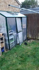 novice garden.what do I do with this ..