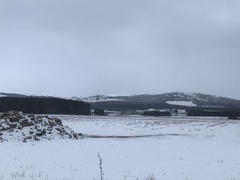 Running Thread 16