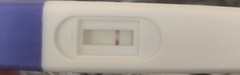 Pregnancy test