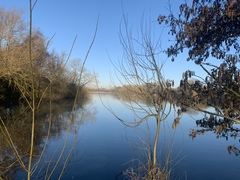 Running Thread 16