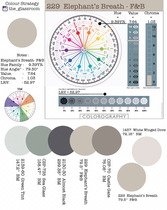 Is elephants breath the best colour?