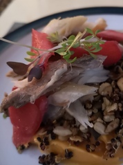 Week 4 - Low Carb Bootcamp - how much chatting?!