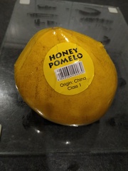 Frugaleers -Marching March-wards Making Money Matter