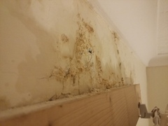 What is this on the wall?